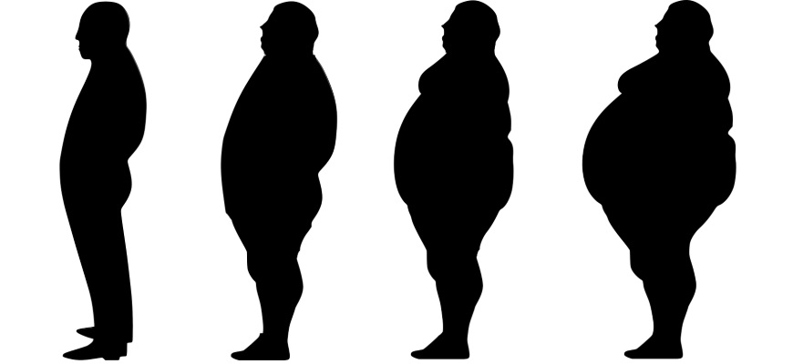 Výsledkem výpočtu BMI je bezrozměrné číslo které říká, jaká je vaše váha v porovnání s průměrnou váhou v populaci.
