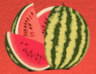 Meloun je sice sladký, ale obsahuje hlavně vodu. Až 93% hmotnosti melounu je jenom voda