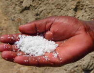 Doporučená denní dávka soli, je pro dospělého člověka 5 gramů soli