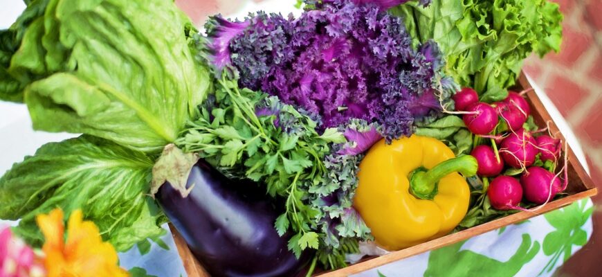 Z „jedlých“ druhů zeleniny, asi nejvíce kalorií obsahuje čerstvý hrášek (81 kalorií) nebo mrkev (35 kalorií) nebo červená paprika (35 kalorií). Nejméně kalorií mají obecně saláty – jako je například polníček (13 kalorií), salát Crispy (14 kalorií) nebo Římský salát (15 kalorií).